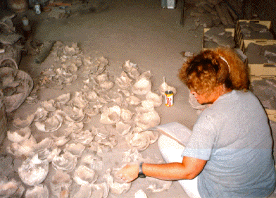 [A researcher sits amidst a pile of skull-bones.]